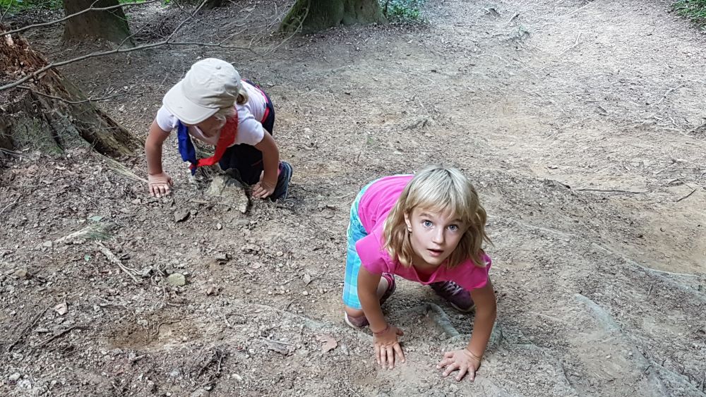 Auf in den Wald