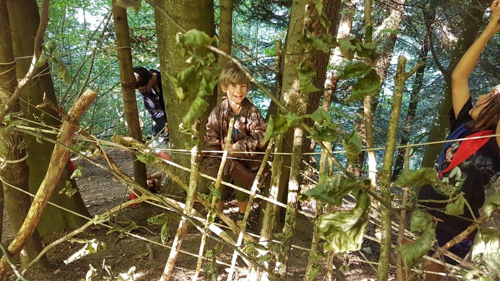 Auf in den Wald