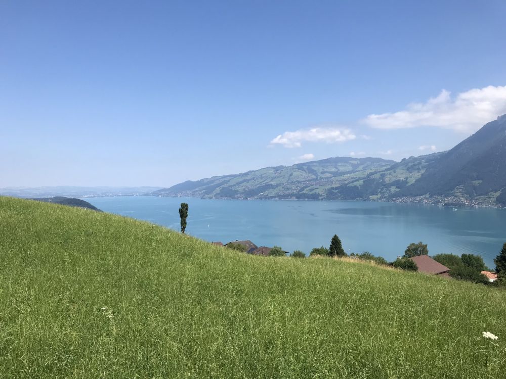Thunersee