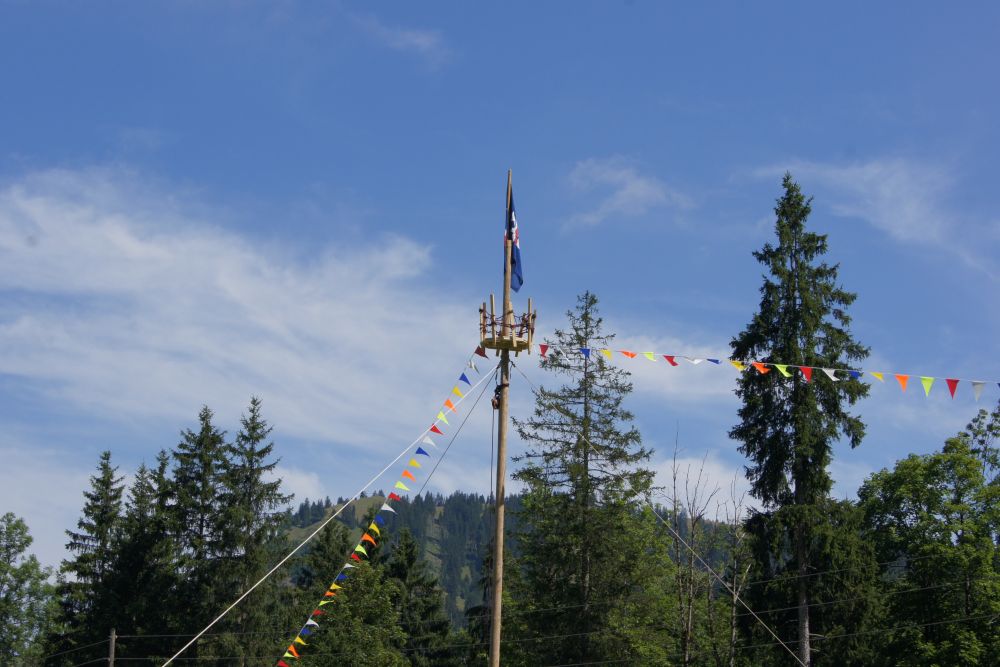 Unser Fahnenmast mit Krähennest
