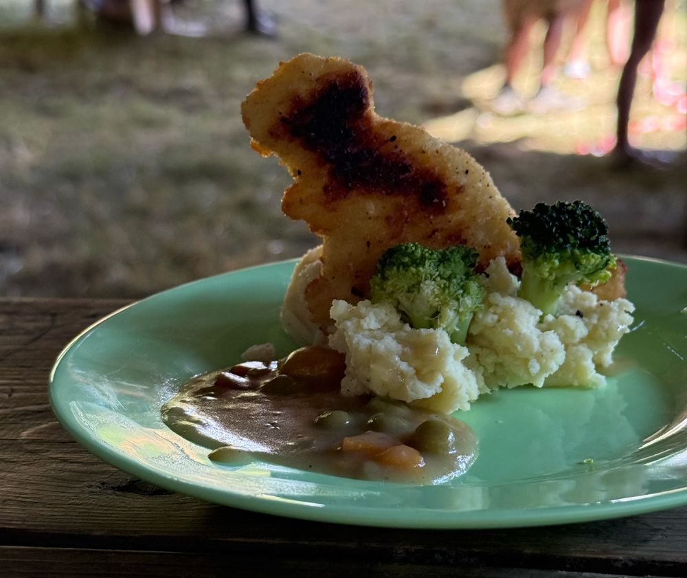 Dinonuggets