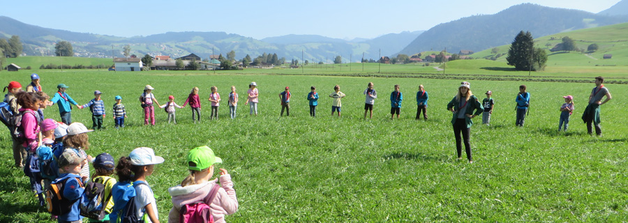 Kreis aus Pfader