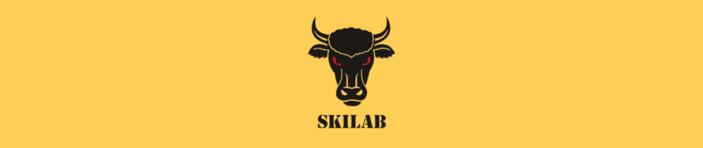 Skilab Banner